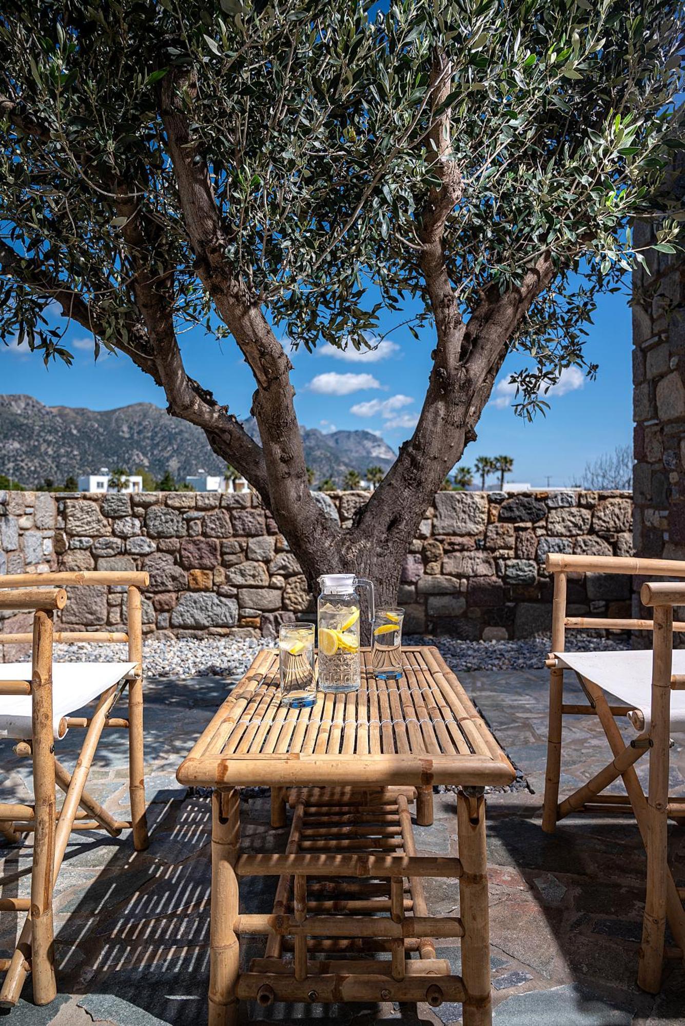 Vista Mare 100 Meters To With Bbq Holiday home Kardamena (Kos)
